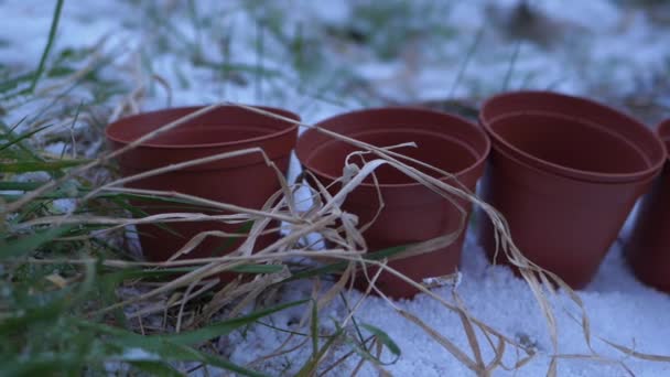 Терракотовые горшки в саду зимой после снегопада — стоковое видео