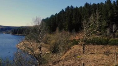 Peak District Ulusal Parkı 'ndaki orman çevresindeki göl mavi gökyüzü geniş zoom drone seçici odak noktası