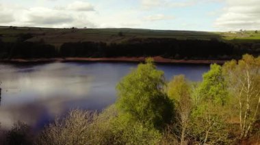 Tepe İlçesi Ulusal Parkı 'ndaki ağaçlar ve tarlalar çevresindeki göl mavi gökyüzü geniş 4k hava aracı seçici odak noktası