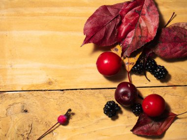 Kırsal ahşap arka planda sonbahar yaprakları ve böğürtlenler seçici odak noktası 