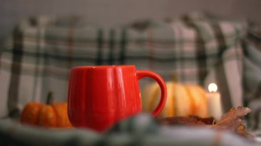 Sıcak mum ışığında portakal kabağı çayı arka planda 4k yavaş çekim seçici odak noktası