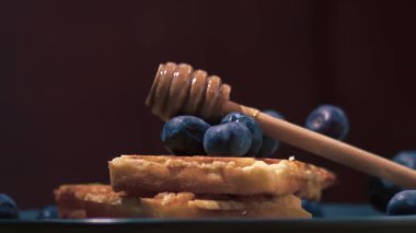 Waffle 'ların üzerine yaban mersini bırakmak süper yavaş çekim seçici odak noktasını kapatır