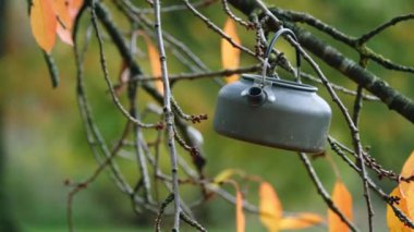 Sonbahar dallarında sallanan çaydanlık seçici odak noktasını orta yakınlaştırır.