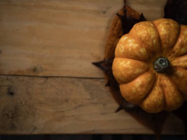 Ahşap arka planda turuncu balkabağı kabağı düz yatar yakın çekim seçici odak