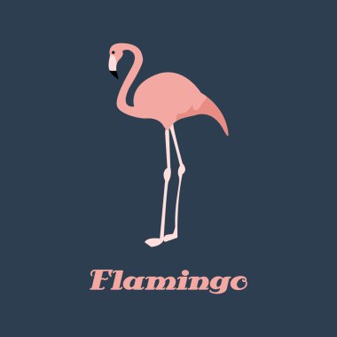 Vektör flamingo pembe