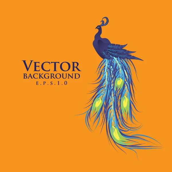 Vector pavo real. Fondo naranja. Diseño de moda eps10 . — Archivo Imágenes Vectoriales