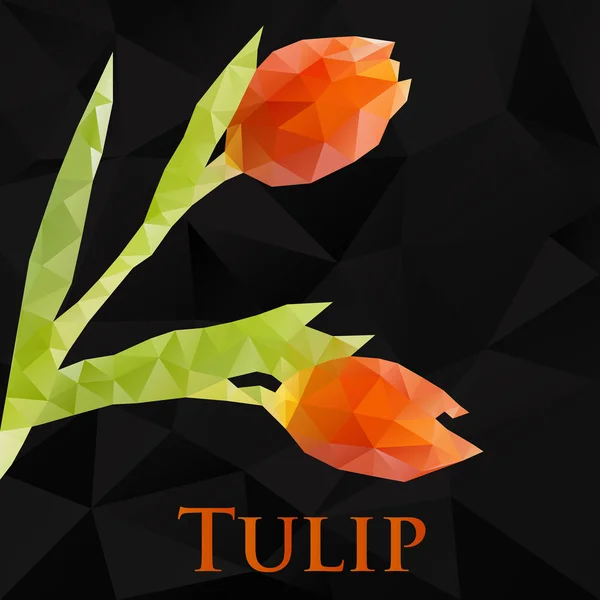 Vector tulip. Abstract flowers geometric. Polygonal design eps10. — Stock Vector