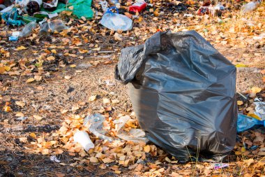 çöplük yakınındaki ormanda çöp torbası