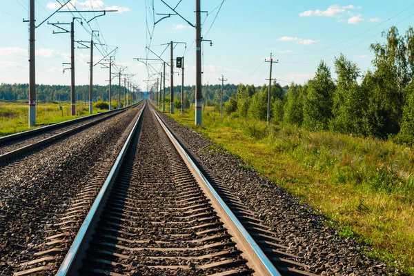 Railroad tracks close-up on the forest background — Stock Photo, Image