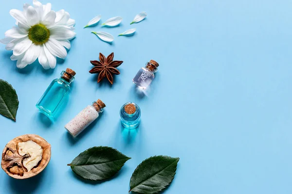 Vzorky Olejů Parfémů Krémů Kosmetiky Květin Vlašských Ořechů Přírodní Složky Stock Fotografie