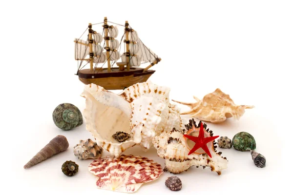 Морской ад и игрушечный корабль изолированы над белым — стоковое фото