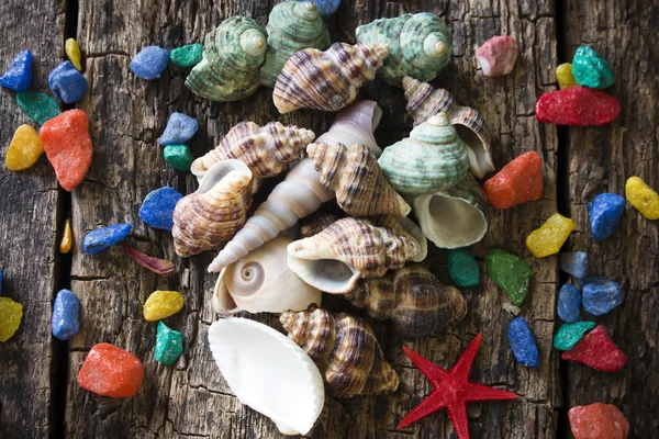 Ракушки, ракушки, моллюски с цветными камнями на деревянном столе — стоковое фото