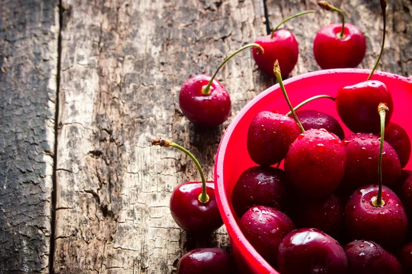 Rural berry cherry with drops of water in a red bucket on a wooden table close-up selective focus — Stok fotoğraf