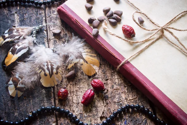 Corded book with beads, dogrose, pine nuts and earrings with feathers — Stockfoto