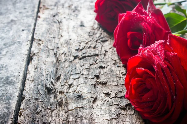 Three red roses in a row with water drops on wooden background — Stock Photo, Image