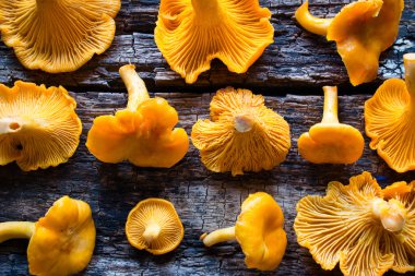 Ahşap bir zemin üzerine chanterelles