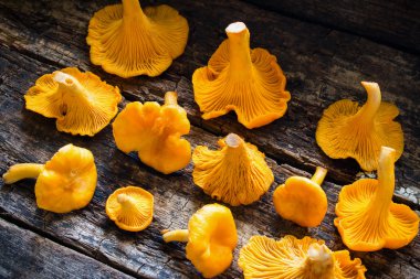 Ahşap arka plan yan görünüm üzerinde taze Cantharellus cibarius