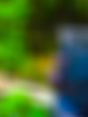 Doğal renklerde soyut bulanık gradyan ağ arkaplanı. Renkli pankart şablonu.