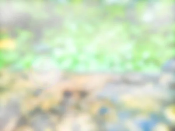 Fondo Malla Gradiente Borroso Abstracto Color Natural Plantilla Banner Colorido —  Fotos de Stock