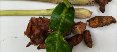 Köri yapmak için geleneksel Endonezya baharatları koleksiyonu.