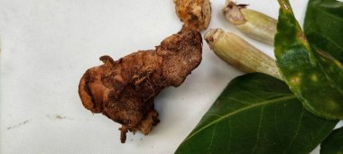 Köri yapmak için geleneksel Endonezya baharatları koleksiyonu.