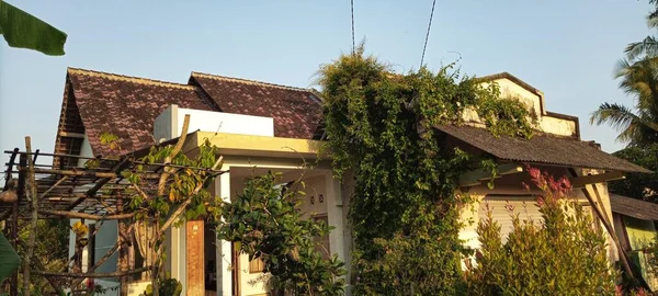 Una Casa Che Invaso Viti Stato Abbandonato Dai Suoi Occupanti — Foto Stock