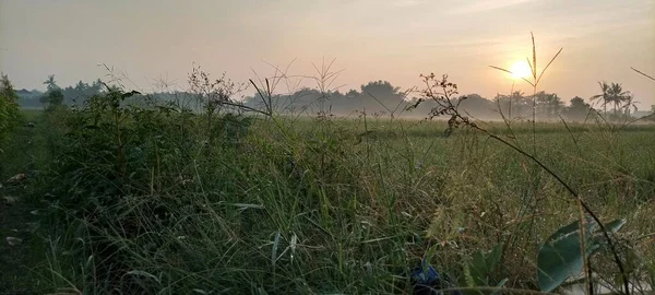 バントゥルの田んぼで日当たりの良い雰囲気の日の出 — ストック写真