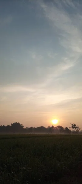 Sol Atmosfera Nascer Sol Nos Campos Arroz Bantul Yogyakarta — Fotografia de Stock