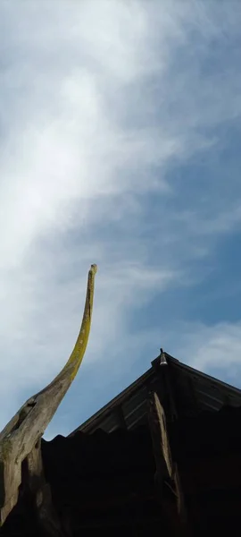 Casa Del Pájaro Viejo Árbol Madera Sobre Fondo Cielo Azul — Foto de Stock