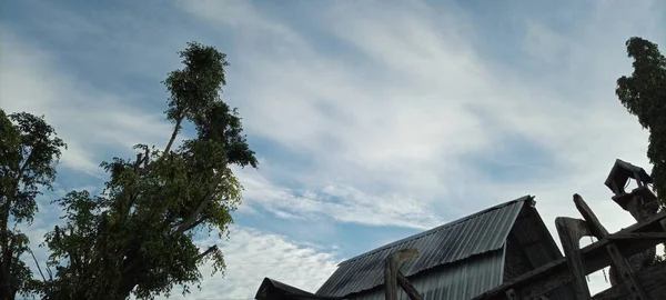 Vogelhaus Auf Altem Holzbaum Auf Bewölkt Blauem Himmel Hintergrund — Stockfoto
