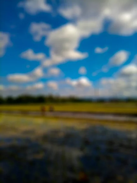 Defocused Abstract Background Rice Fields Bantul View White Clouds Blue — 스톡 사진