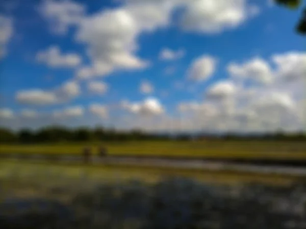 Fundo Abstrato Desfocado Campos Arroz Bantul Vista Nuvens Brancas Céu — Fotografia de Stock