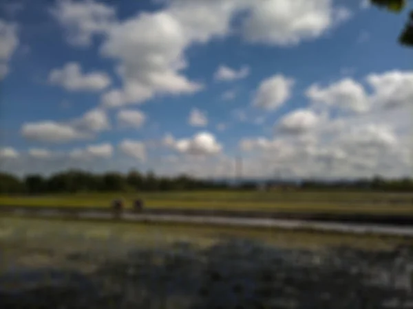 Fondo Abstracto Desenfocado Campos Arroz Bantul Vista Nubes Blancas Cielo — Foto de Stock