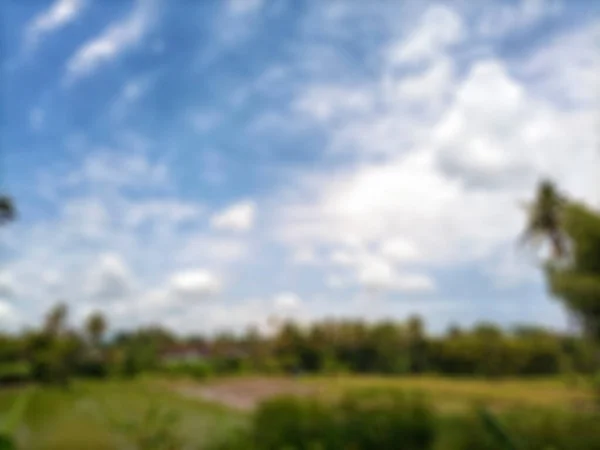 Fundo Abstrato Desfocado Campos Arroz Bantul Vista Nuvens Brancas Céu — Fotografia de Stock