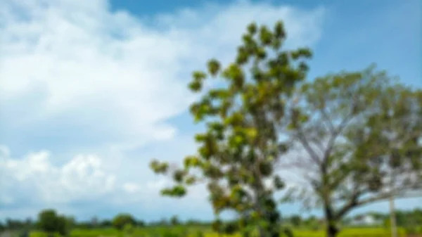 Gedempte Abstracte Achtergrond Van Rijstvelden Bantul Uitzicht Witte Wolken Blauwe — Stockfoto