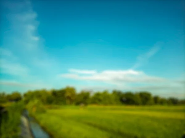 Sfondo Astratto Sfocato Risaie Bantul Vista Nuvole Bianche Cielo Blu — Foto Stock