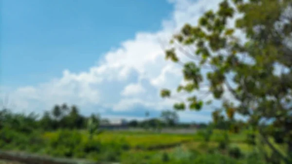 Rozproszone Abstrakcyjne Tło Pól Ryżowych Bantul Widok Białych Chmur Błękitne — Zdjęcie stockowe