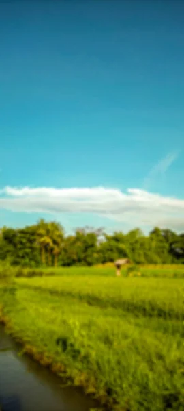 Defocused Abstract Background Rice Fields Bantul View White Clouds Blue — 스톡 사진