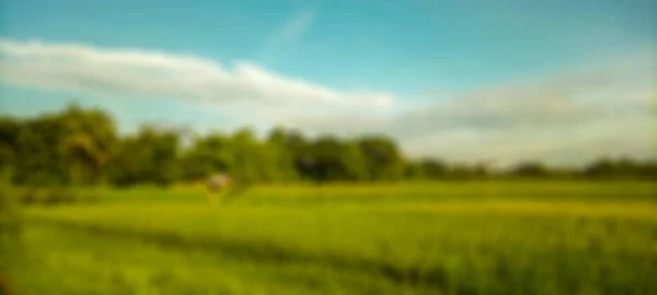 Fundo Abstrato Desfocado Campos Arroz Bantul Vista Nuvens Brancas Céu — Fotografia de Stock