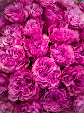 Zarif bir buket gül, yakın plan, çiçekli arka plan.