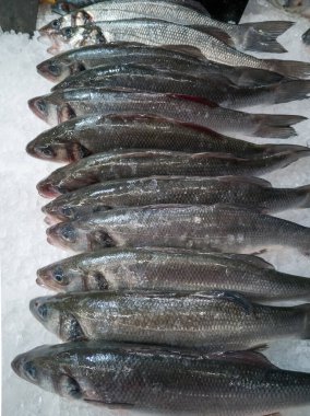 Taze soğumuş balık Sibias leşinin tamamı buzun üzerinde yatıyor.