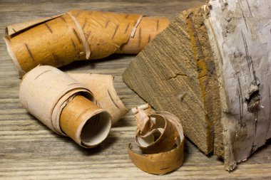 Huş ağacı, rulo üzerinde ahşap kabuk