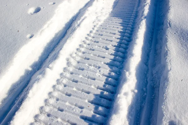 冬日小径, 雪中之路 — 图库照片