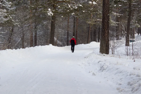 Hombre corriendo en el bosque de invierno — Foto de Stock