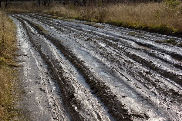 Paisagem rural com campo vazio sujeira estrada molhada — Fotografia de Stock