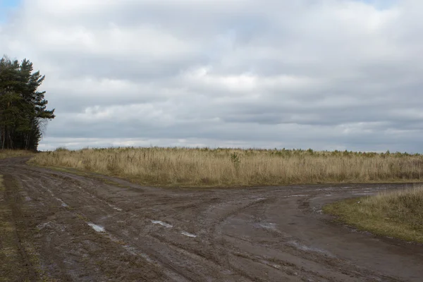 Rural landscape with empty countryside dirt wet road — Stock Photo, Image