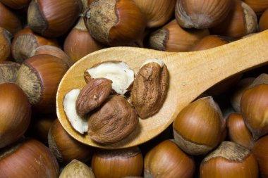 Fındık kabuğu ve tahta kaşık arka plan olarak