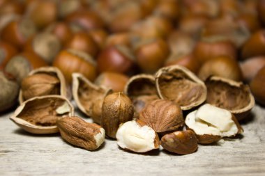 Fındık kabuğu ahşap arka plan üzerinde