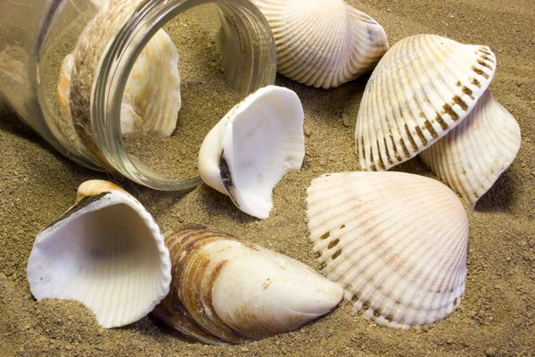 Conchas marinas y frasco de vidrio sobre arena —  Fotos de Stock