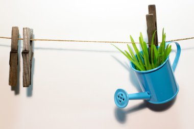 Çimenlerin üzerinde ahşap mandal ile mavi sulama olabilir